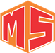 MS LOGO