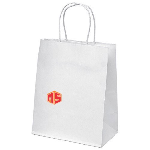 CARRY BAGS-SIZE-1 (170 GSM)