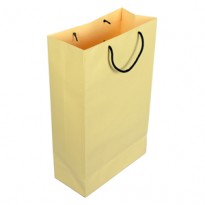 10L X 16W Virgin Card Paper Fancy Bag