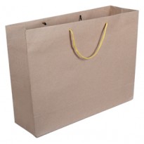 17L X 13W Virgin Card Paper Fancy Bag